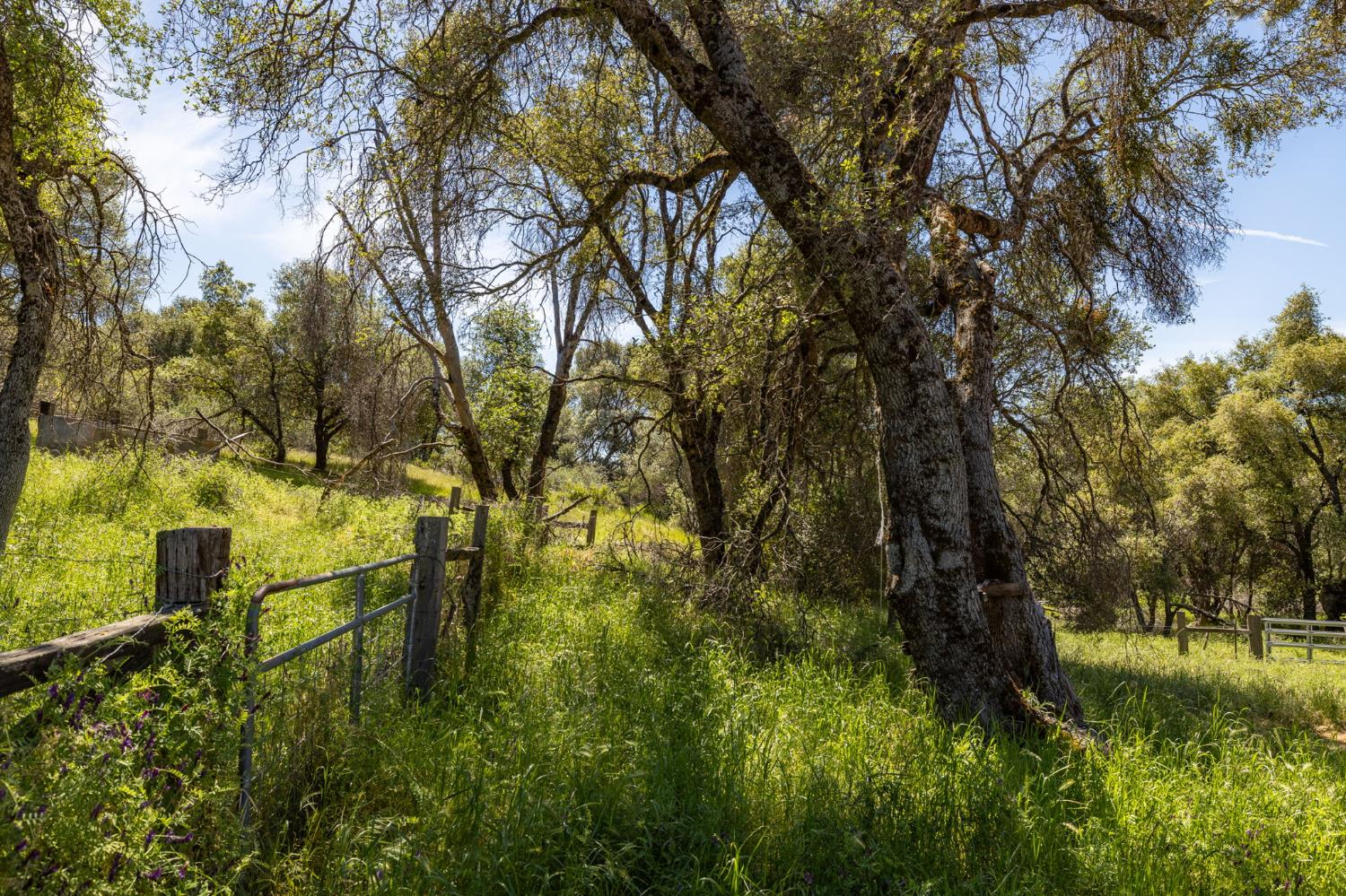 4716 Leonard Rd, Mariposa, CA 95338