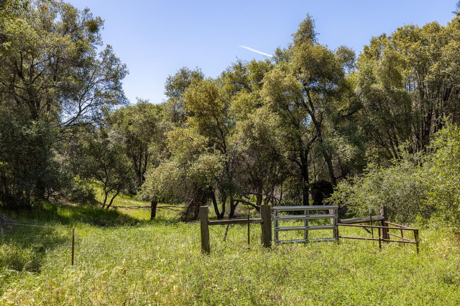 4716 Leonard Rd, Mariposa, CA 95338
