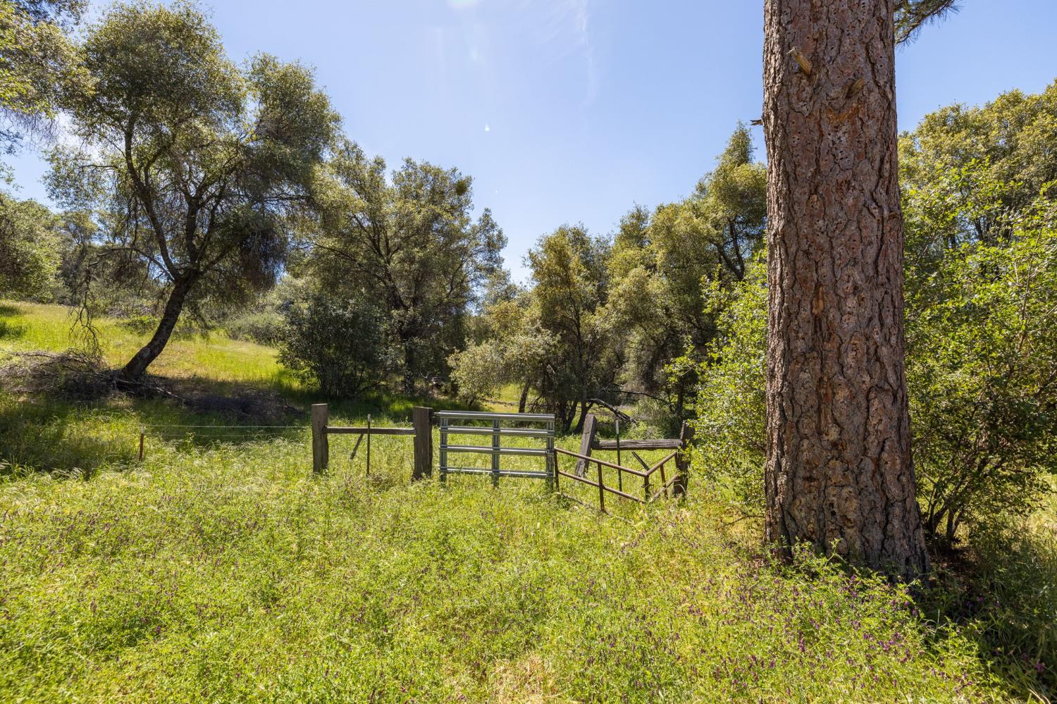4716 Leonard Rd, Mariposa, CA 95338