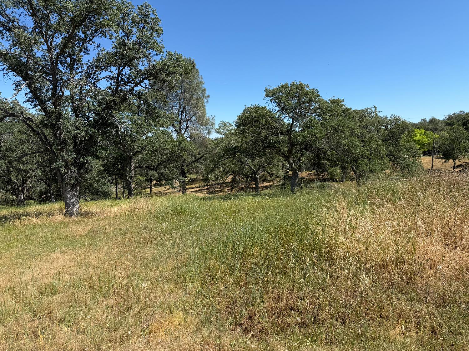 16 Horseshoe, Coarsegold, CA 93614