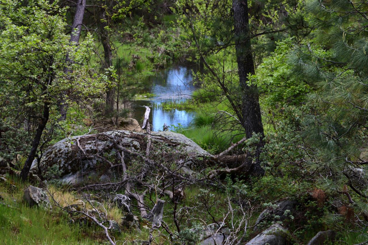 5027 Fox Creek, Mariposa, CA 95338