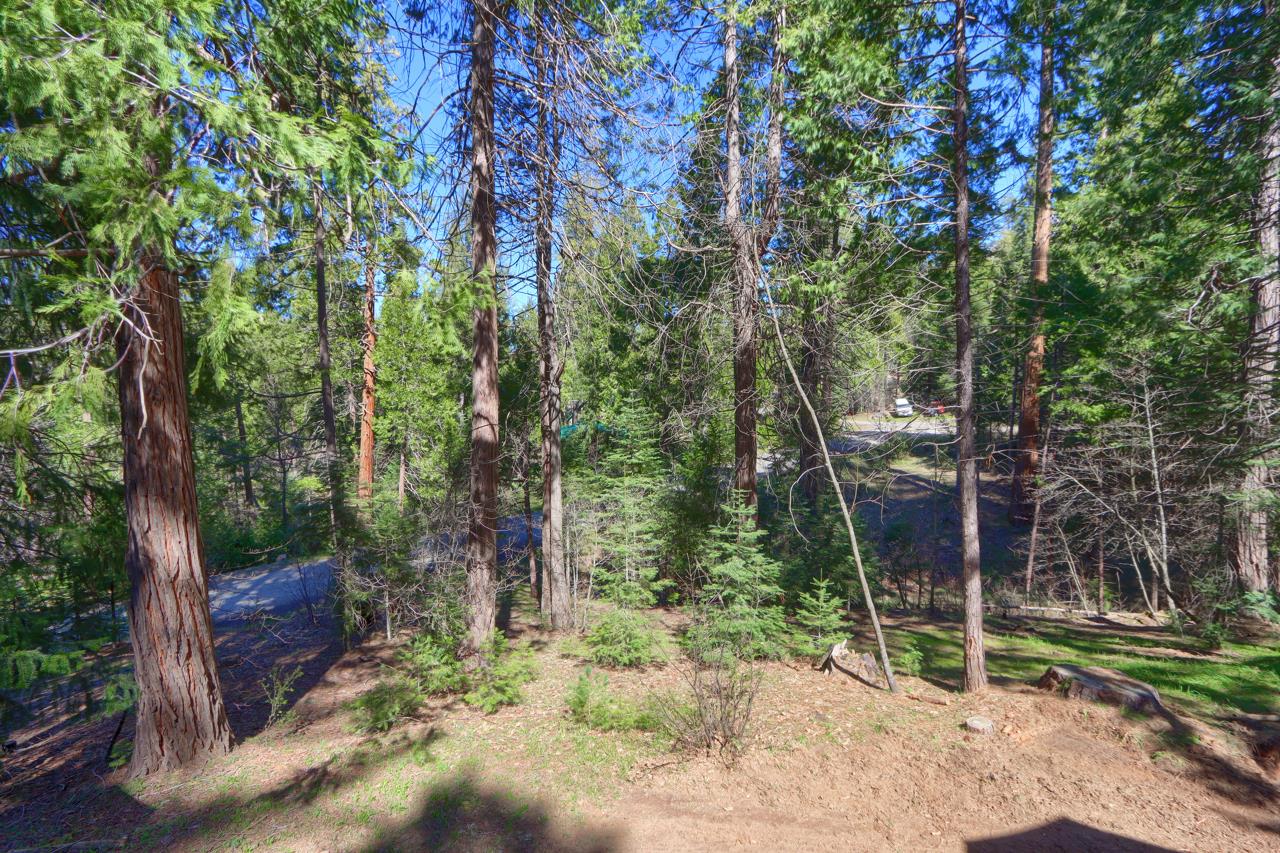 7141 Snyder Ridge, Mariposa, CA 95338