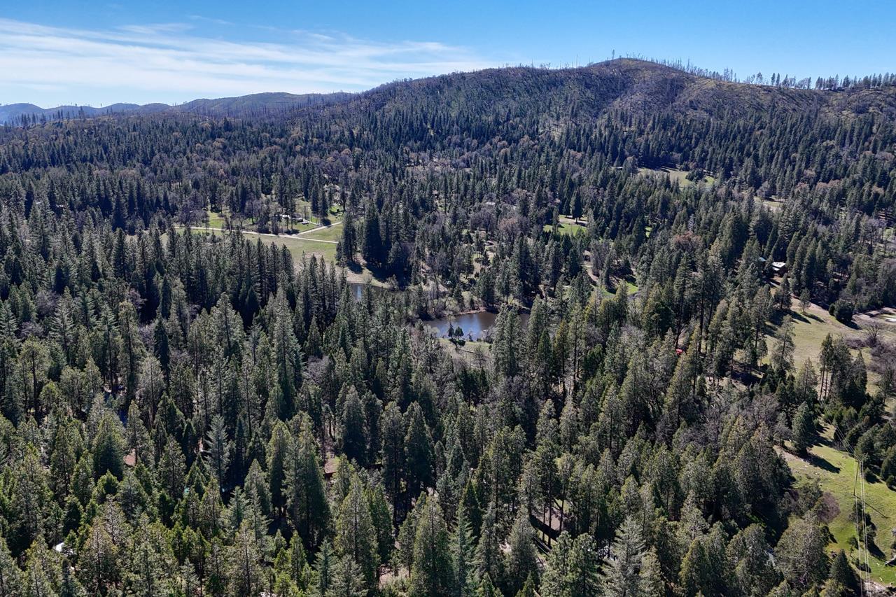 7141 Snyder Ridge, Mariposa, CA 95338