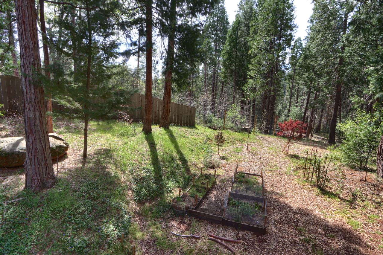 7174 Hites Cove, Mariposa, CA 95338