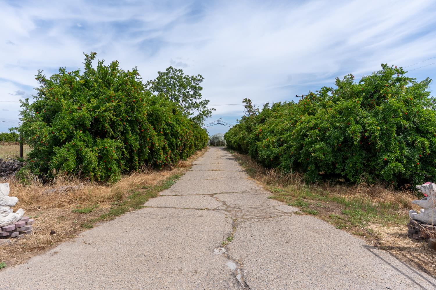 1389 S Highland Ave, Sanger, CA 93657