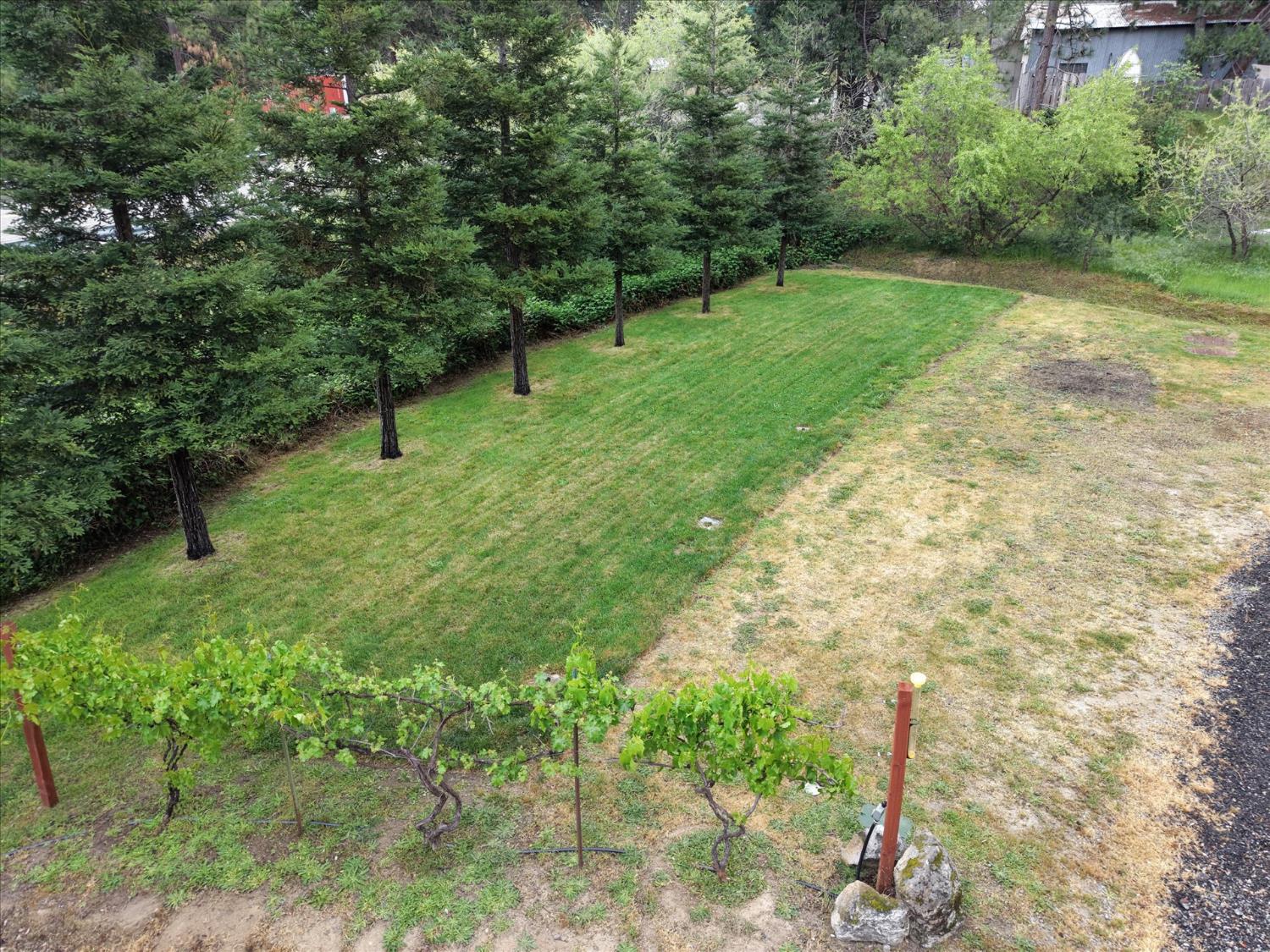 41860 Road 222, Oakhurst, CA 93644