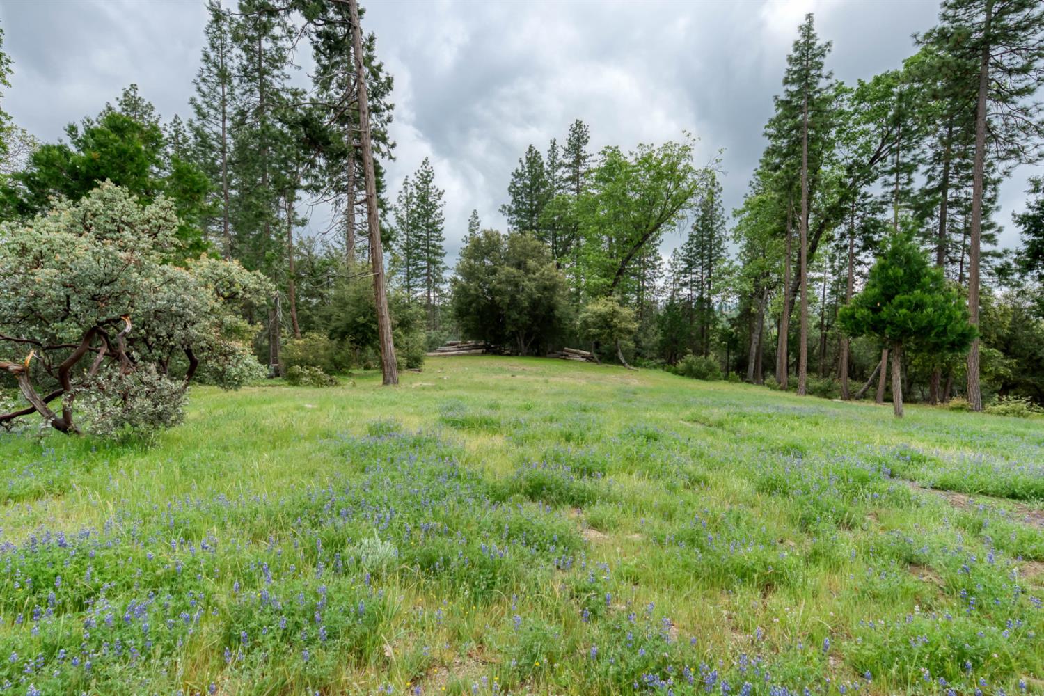 42123 Auberry Rd, Auberry, CA 93602