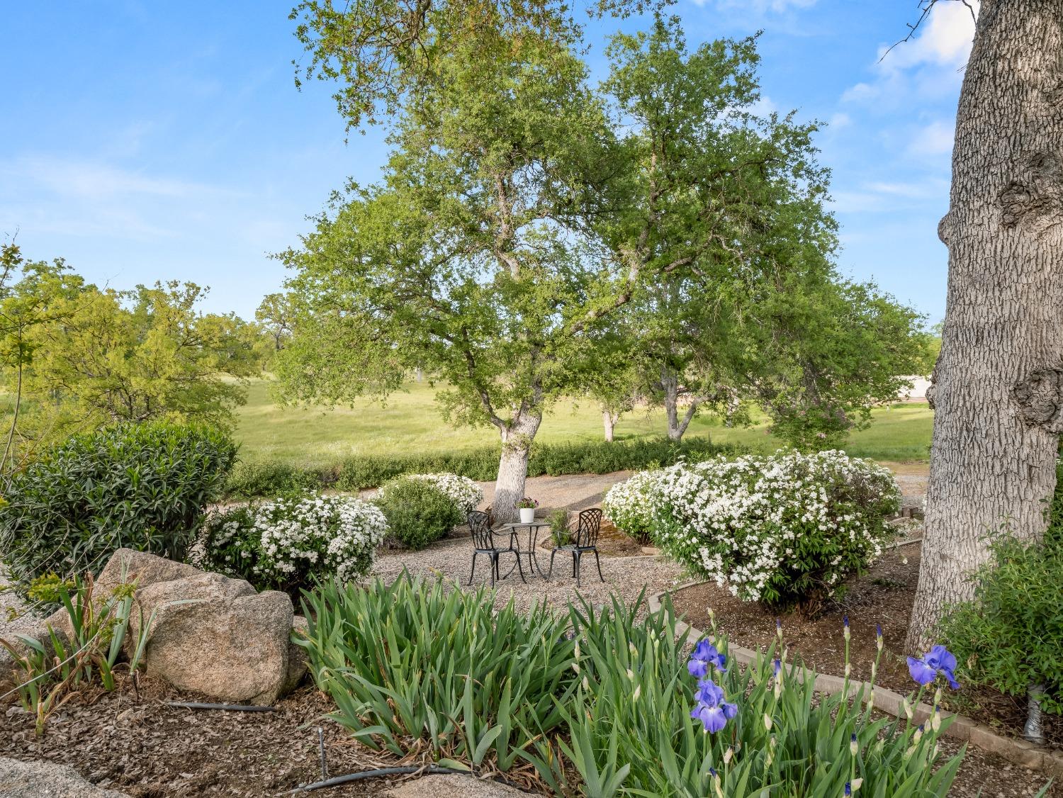 41797 River Knolls Way, Coarsegold, CA 93614