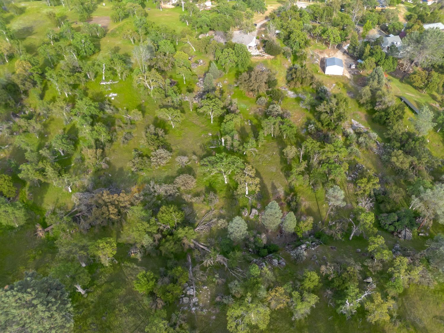 41797 River Knolls Way, Coarsegold, CA 93614