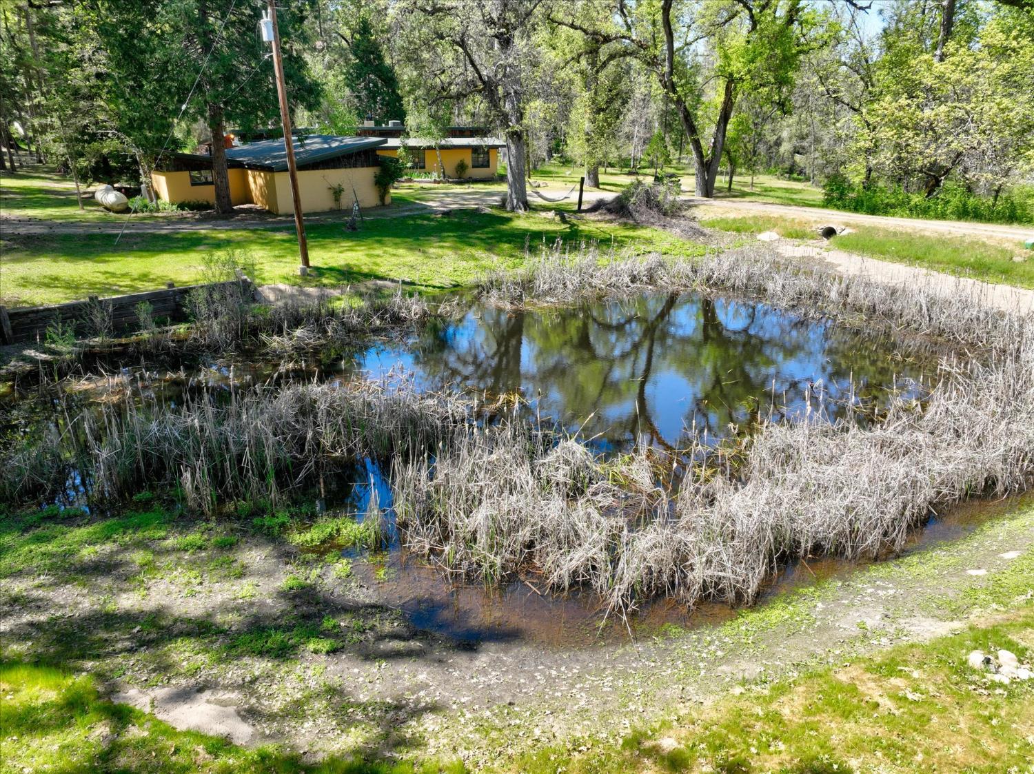 37733 37736 Black Ranch Rd, Oakhurst, CA 93644