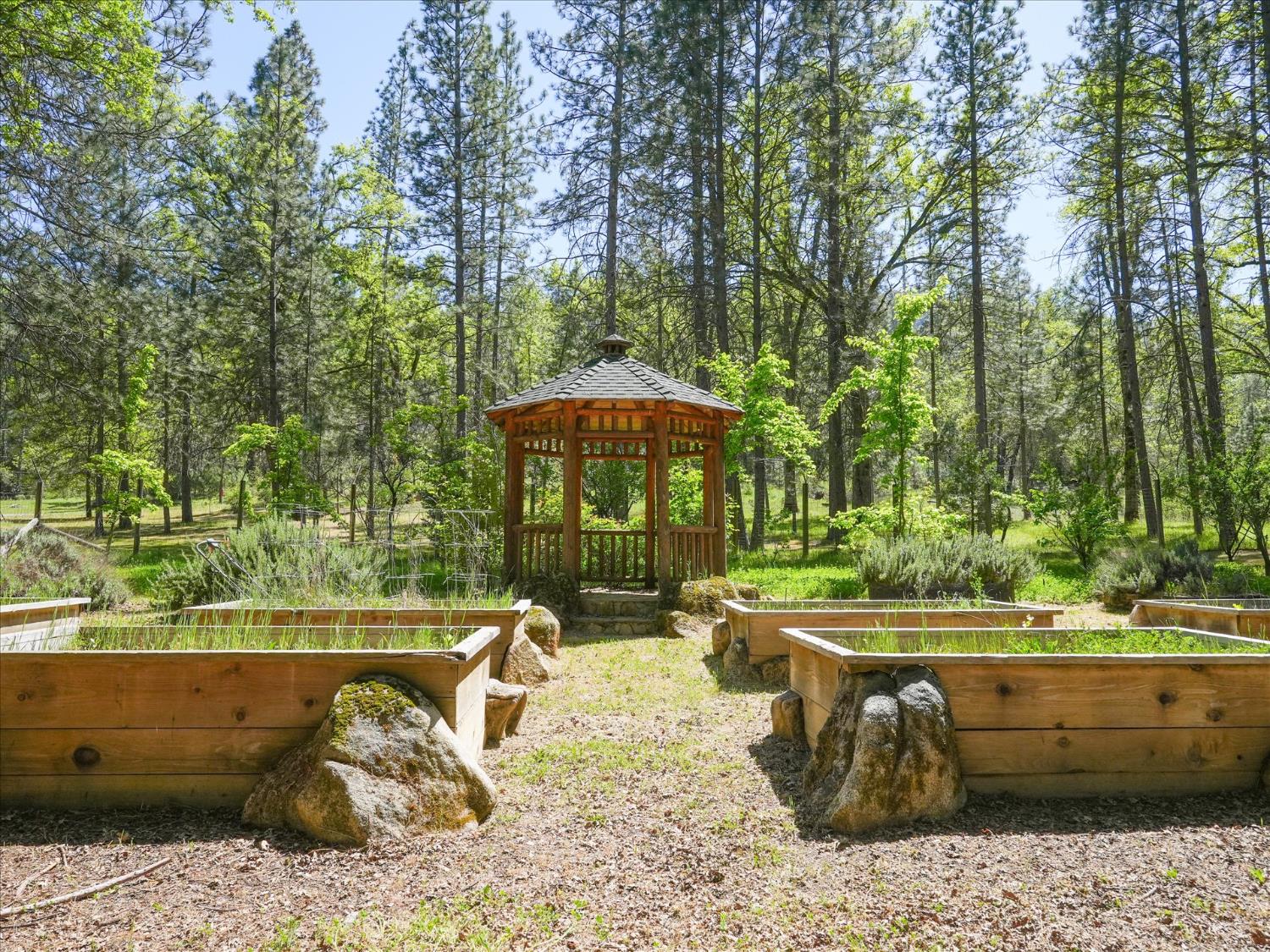 37733 37736 Black Ranch Rd, Oakhurst, CA 93644