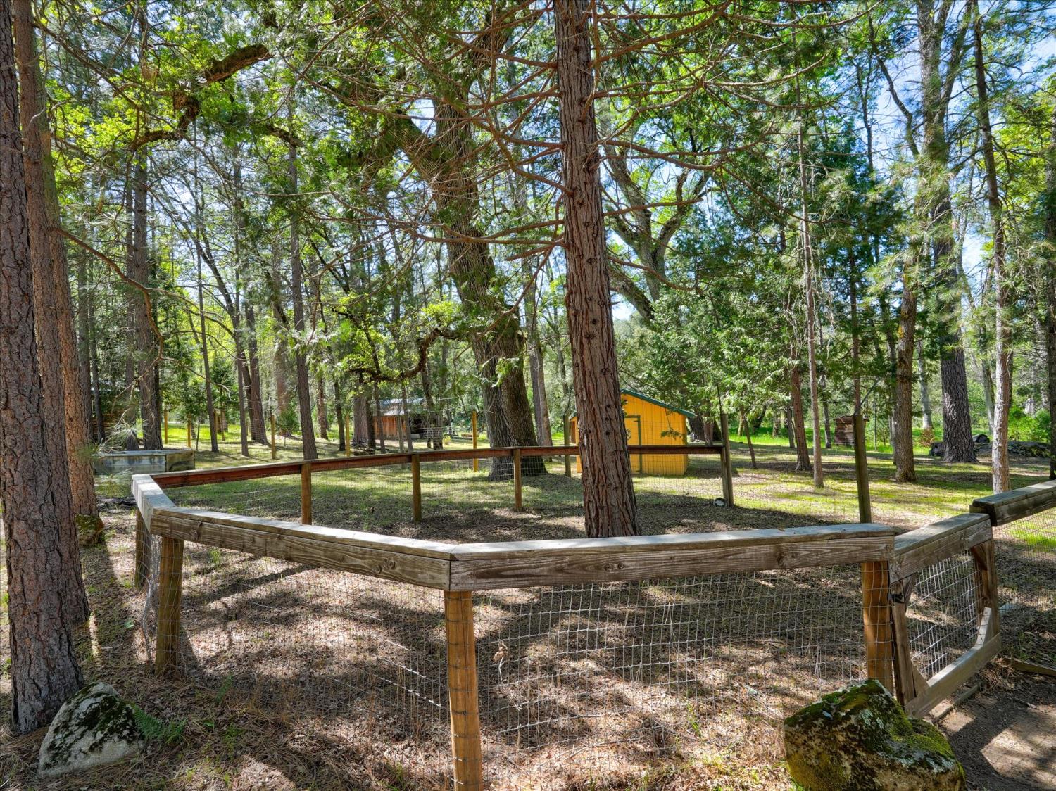 37733 37736 Black Ranch Rd, Oakhurst, CA 93644