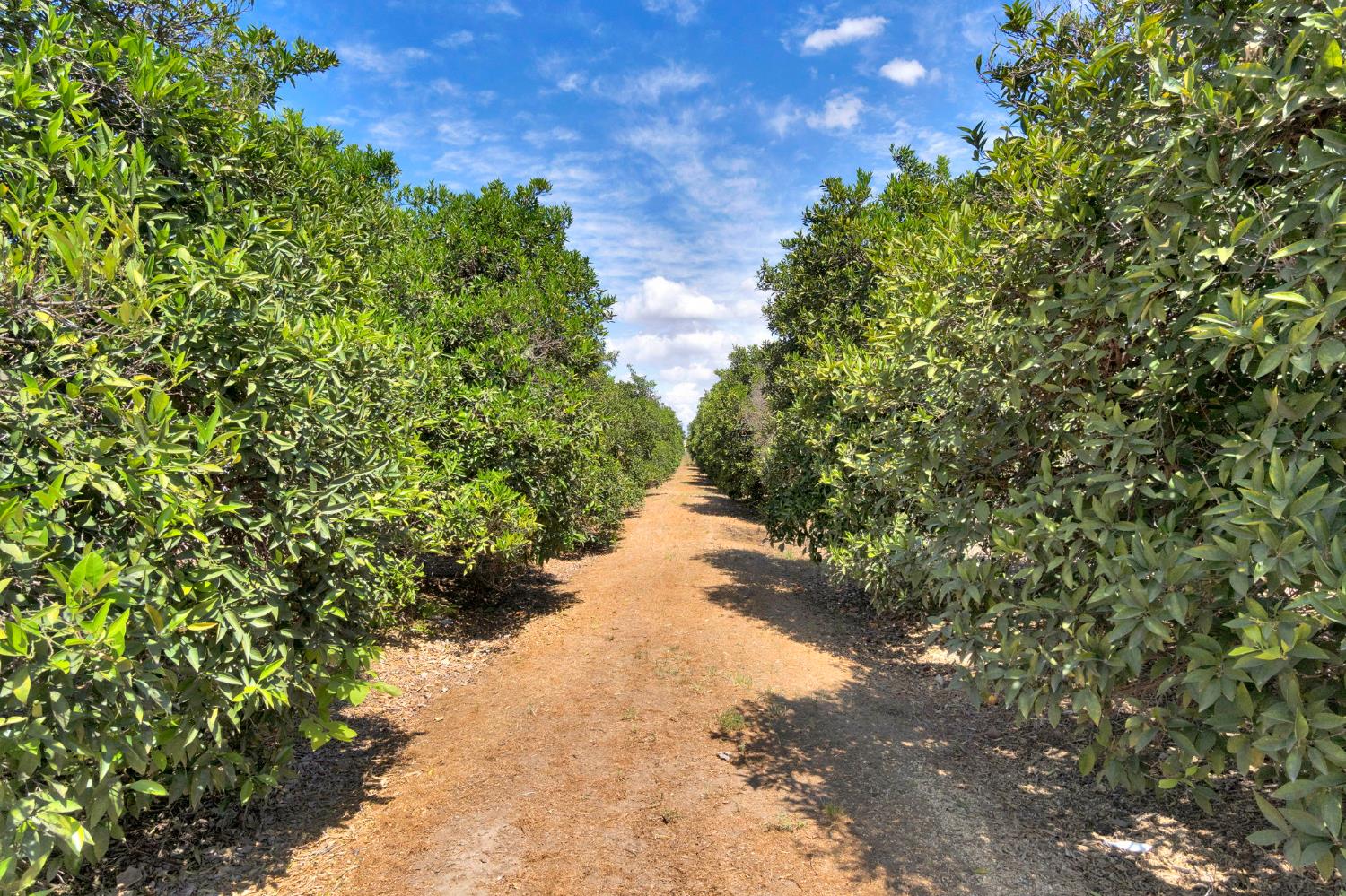 41640 Road 120, Orosi, CA 93647