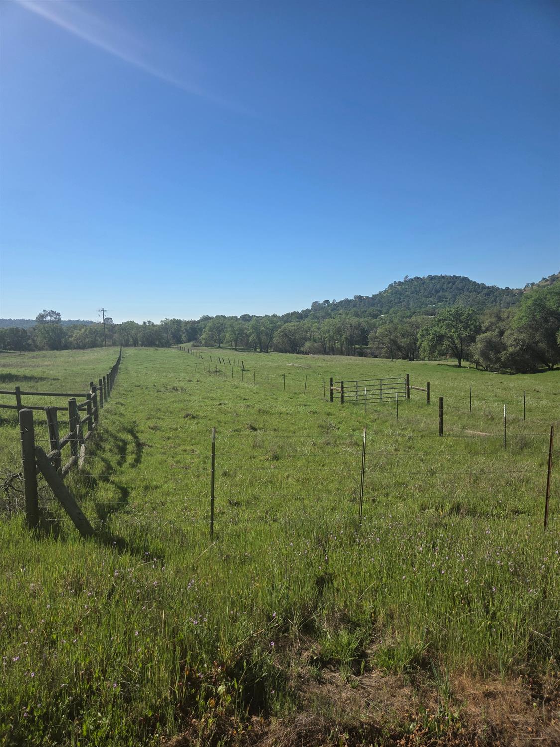 32951 Frazier Rd #2, Auberry, CA 93602