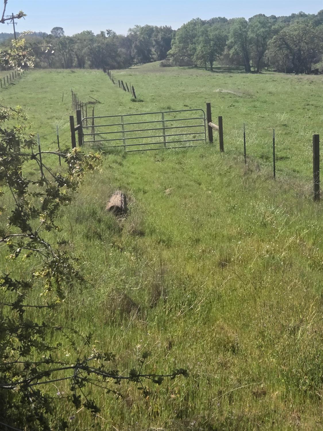 32951 Frazier Rd #2, Auberry, CA 93602