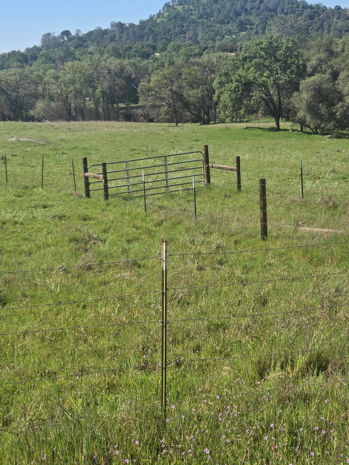 32951 Frazier Rd #2, Auberry, CA 93602