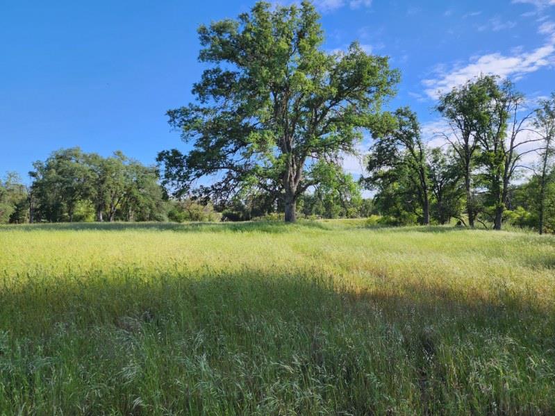 32951 Frazier Rd #2, Auberry, CA 93602