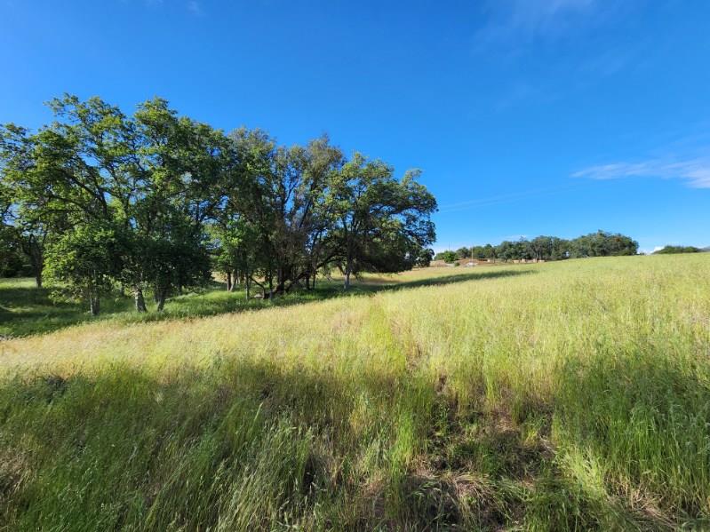 32951 Frazier Rd #2, Auberry, CA 93602