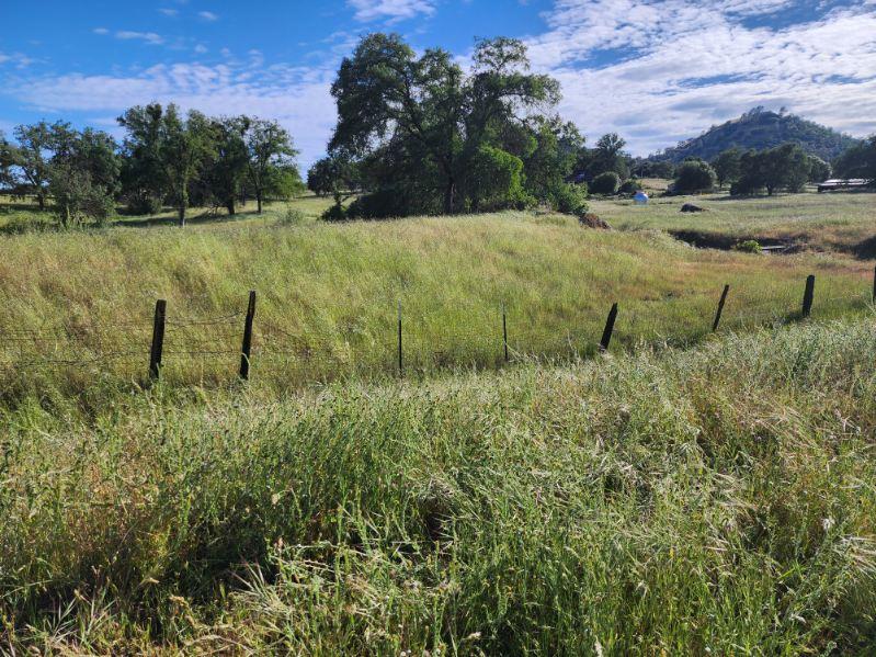 32951 Frazier Rd #2, Auberry, CA 93602