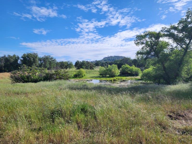 32951 Frazier Rd #2, Auberry, CA 93602