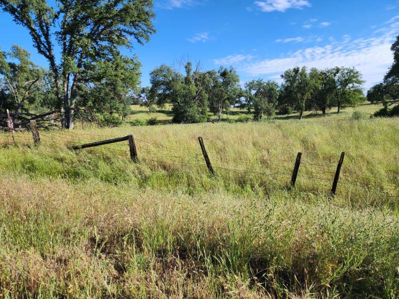 32951 Frazier Rd #2, Auberry, CA 93602