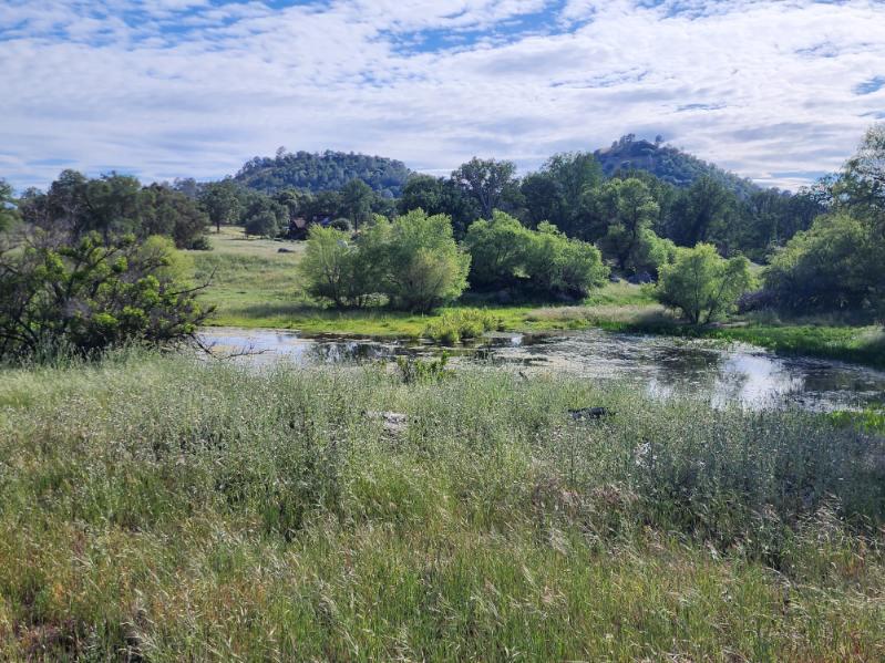 32951 Frazier Rd #2, Auberry, CA 93602