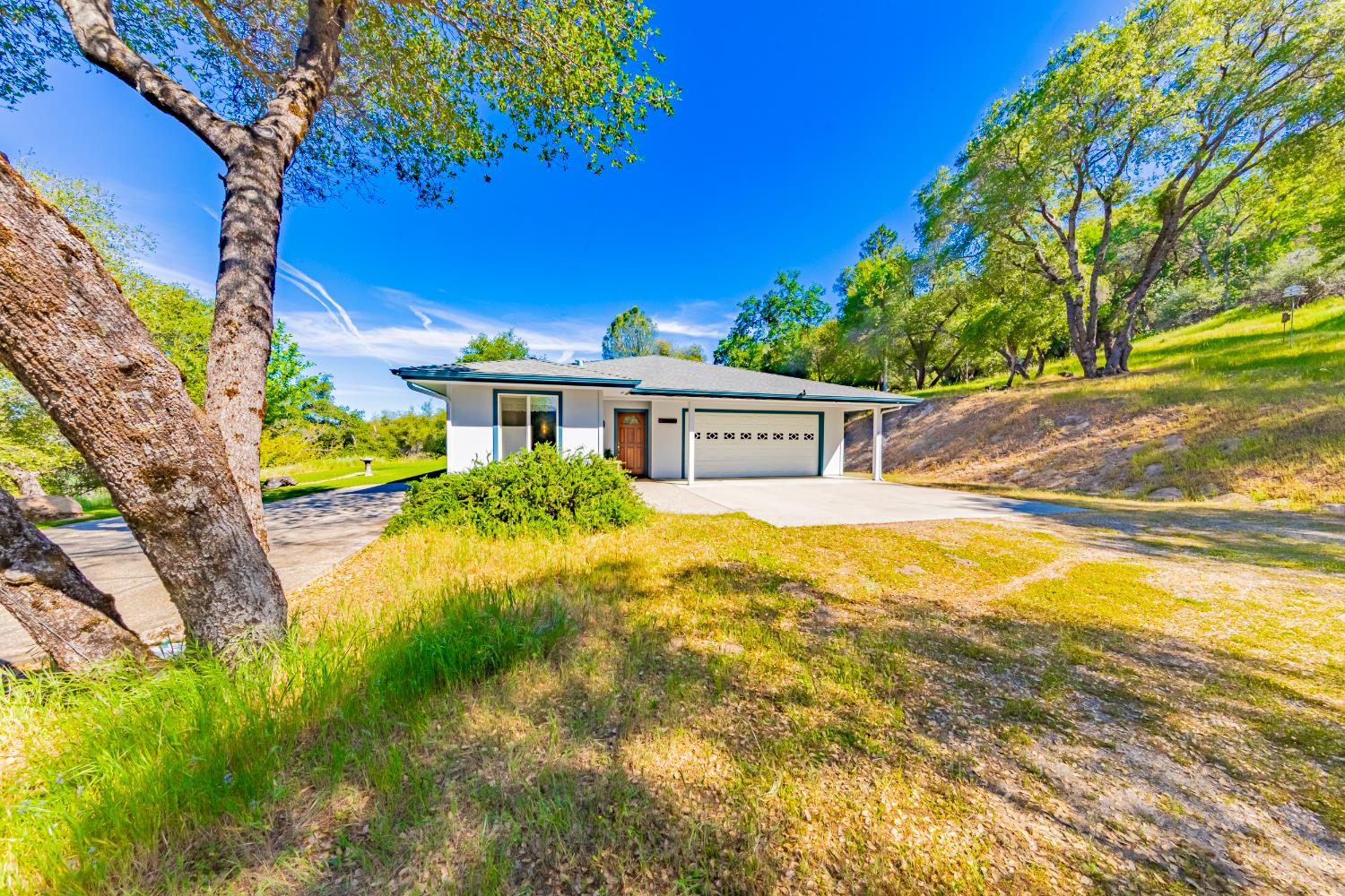 50359 Dovewood Ln, Oakhurst, CA 93644