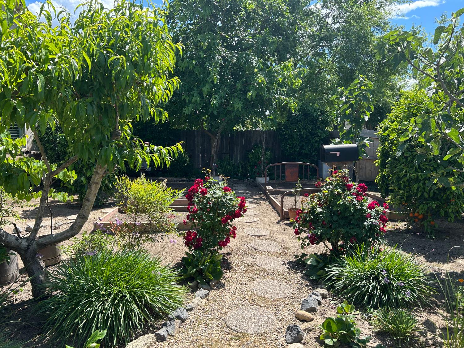 2877 23rd Ct, Kingsburg, CA 93631