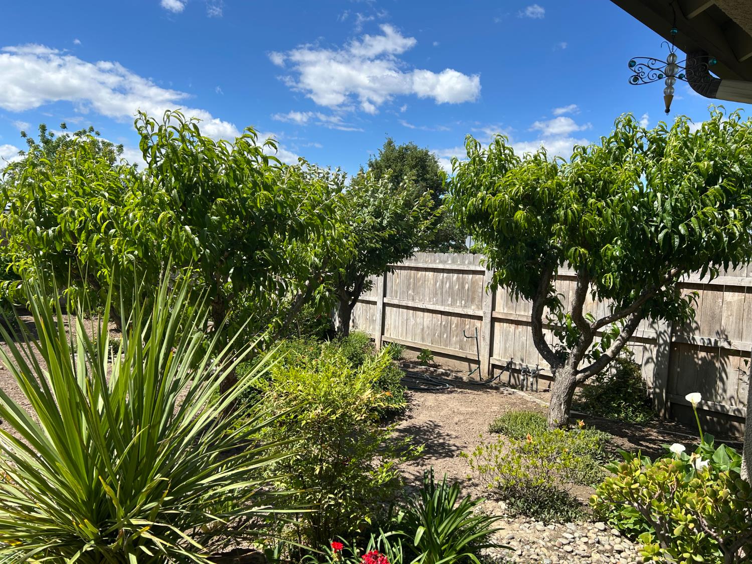 2877 23rd Ct, Kingsburg, CA 93631