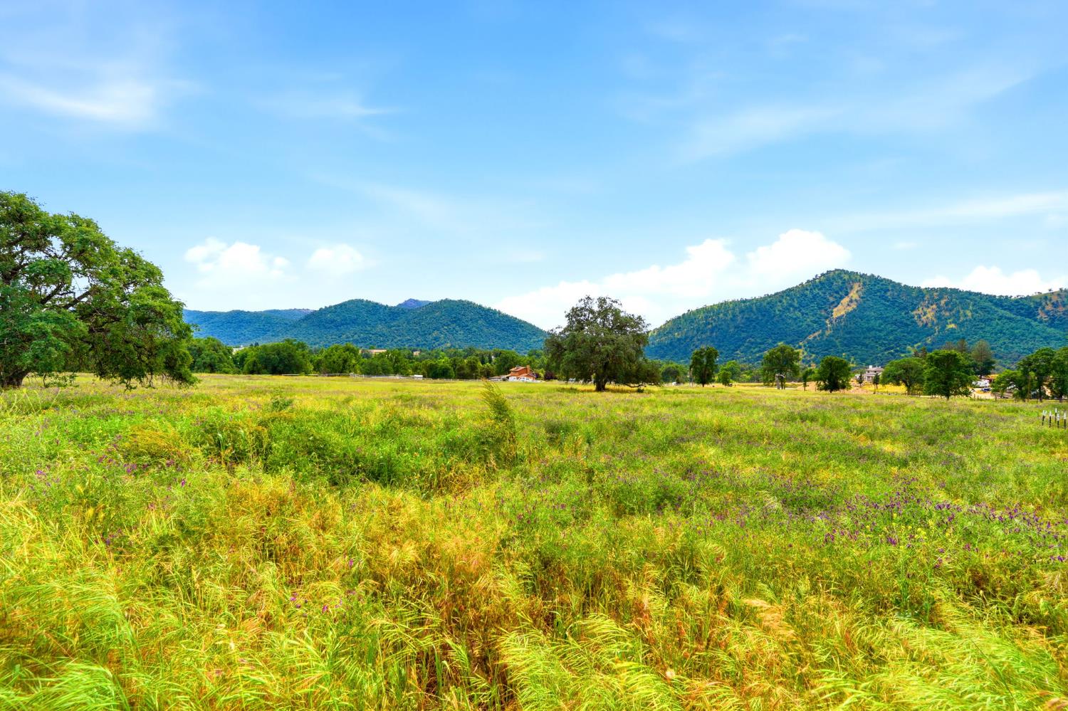 39348 Dunlap Rd, Yokuts Valley, CA 93675