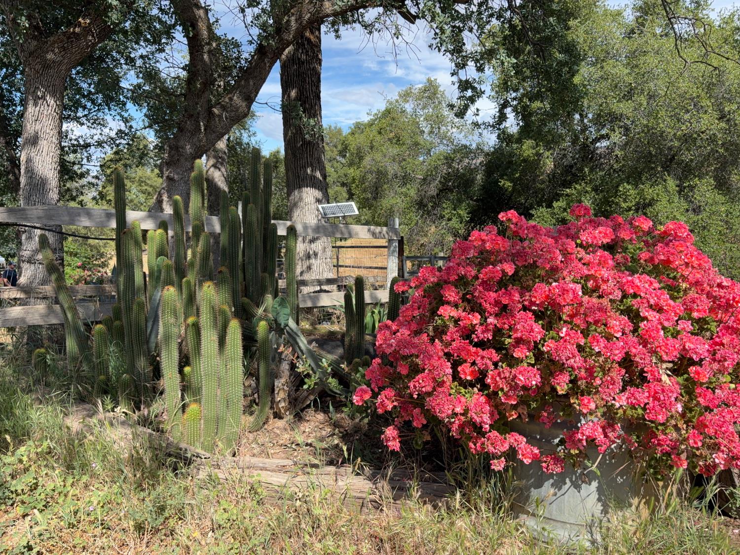 39569 Clover Ln, Yokuts Valley, CA 93675