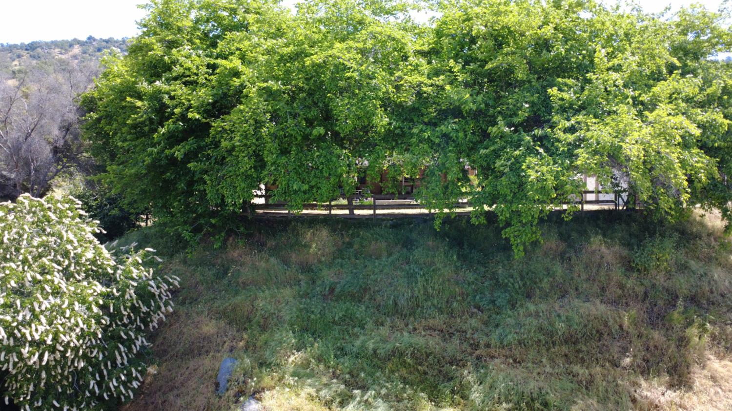 39569 Clover Ln, Yokuts Valley, CA 93675