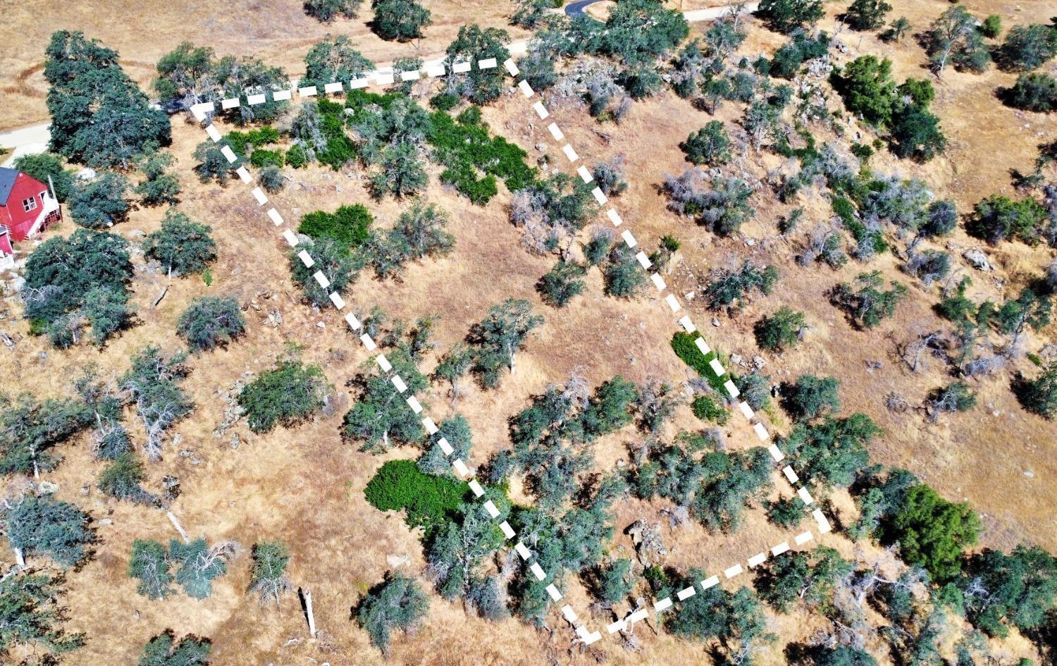 391 Sunflower Ln, Yokuts Valley, CA 93675