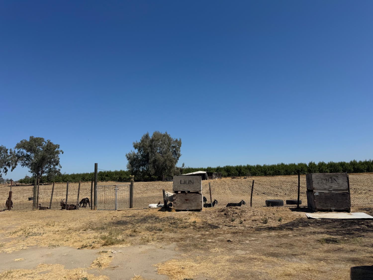 19540 W Central Ave, Kerman, CA 93630