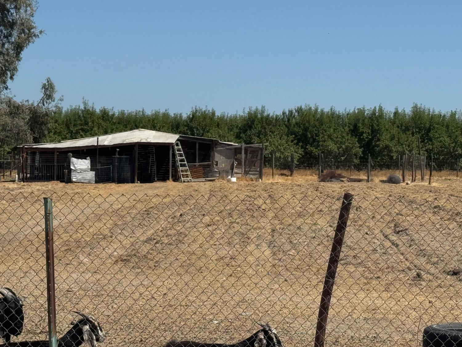 19540 W Central Ave, Kerman, CA 93630