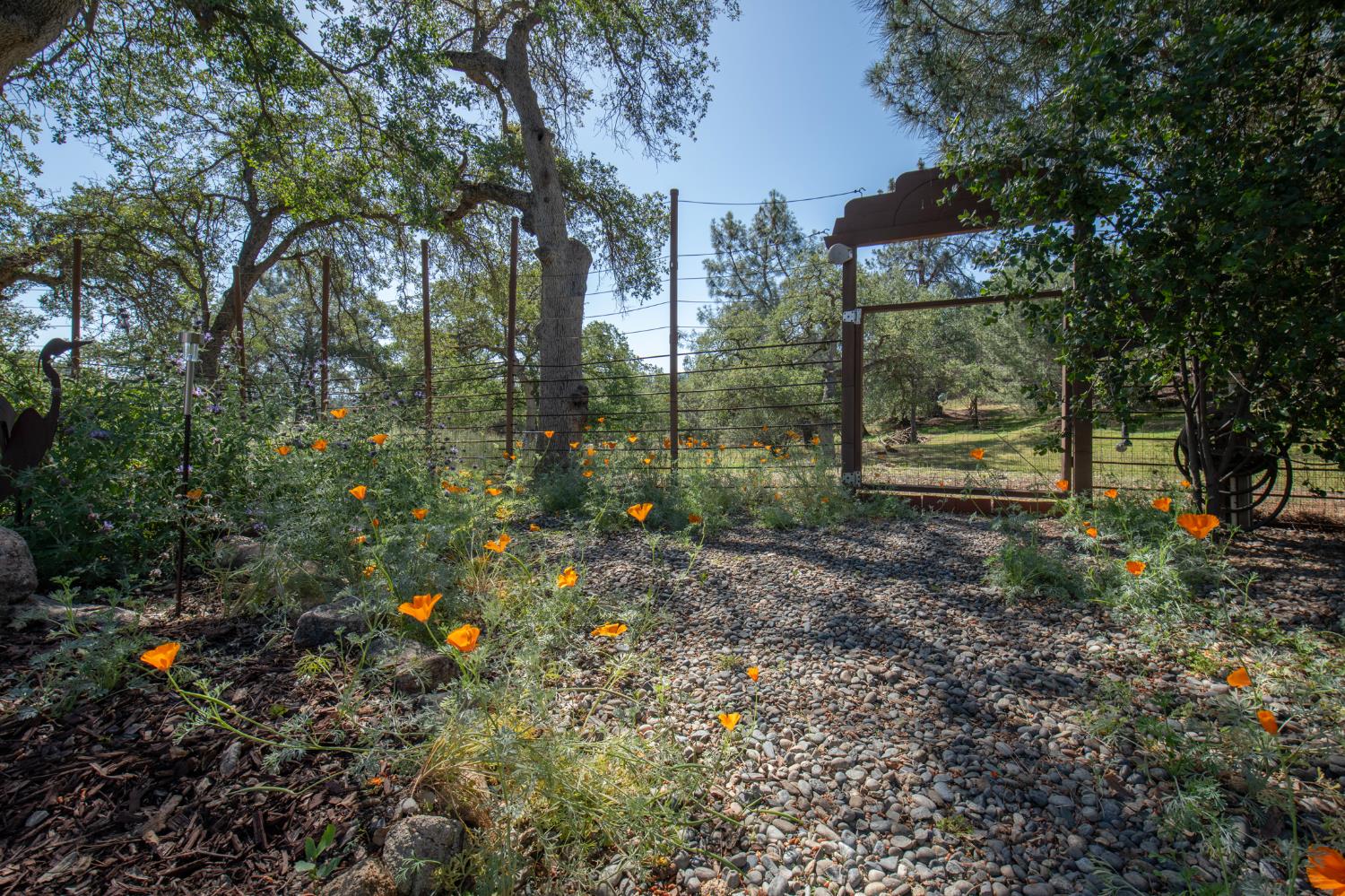 42404 John Muir Dr, Coarsegold, CA 93614