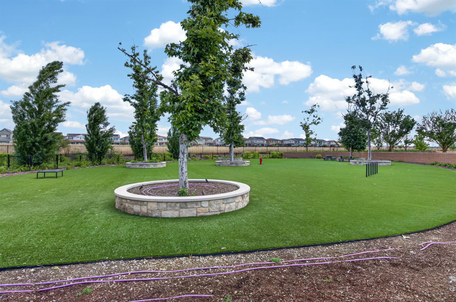 4185 Ryan Ln, Madera, CA 93636