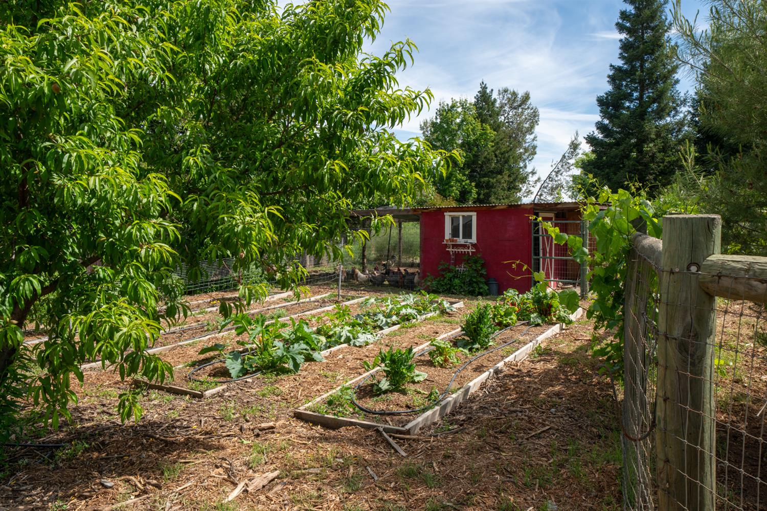 22052 Melrose Ct, Madera, CA 93638