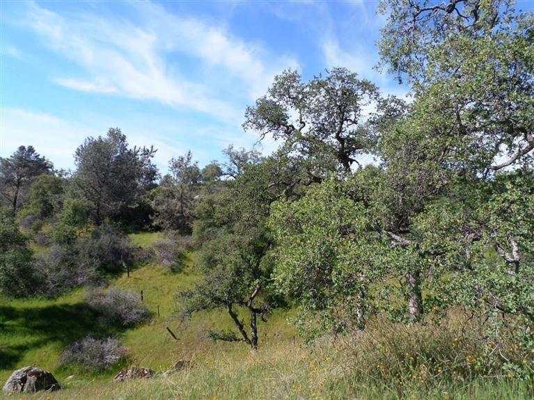 20148 Tollhouse Rd, Clovis, CA 93619