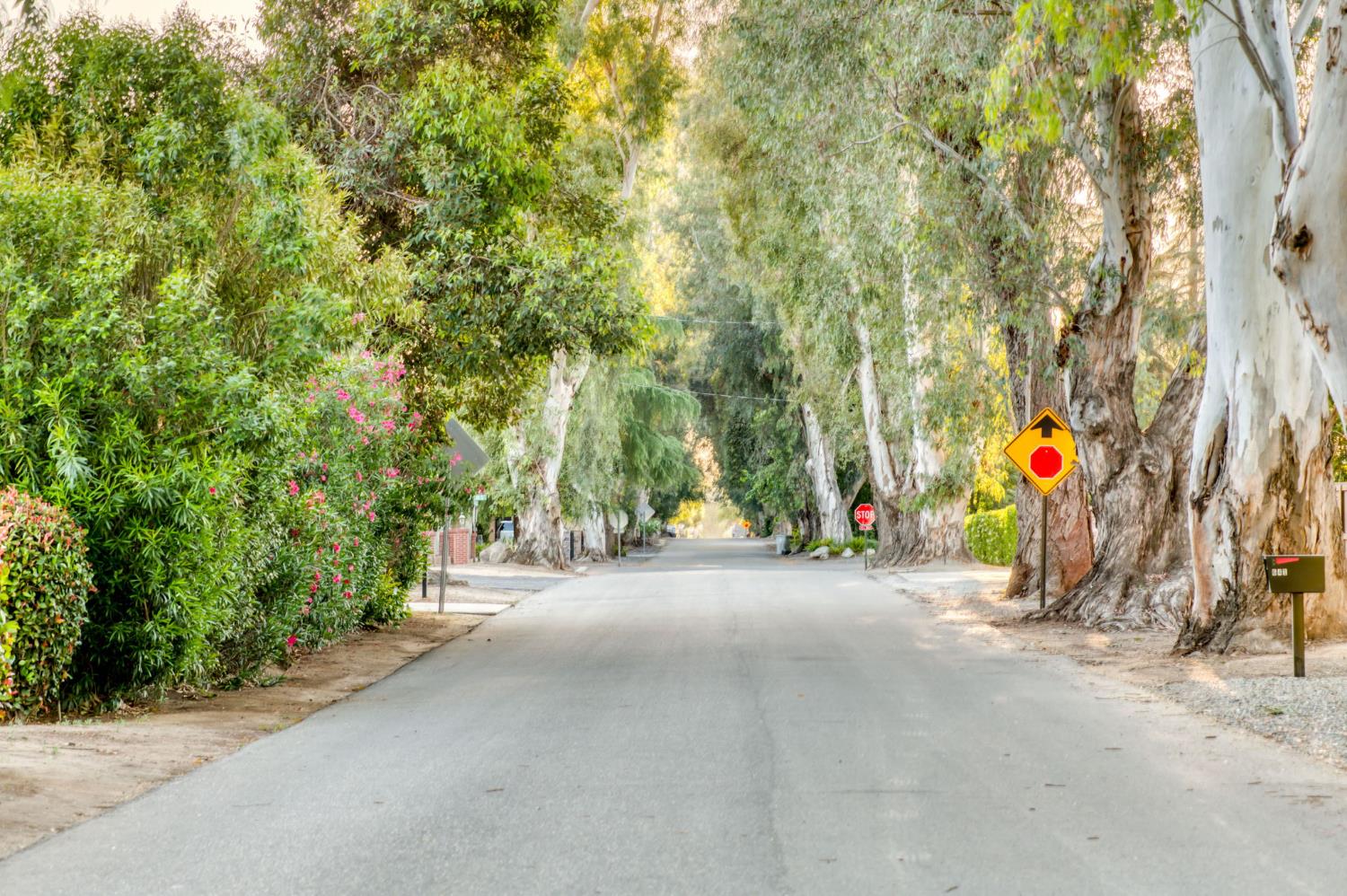 4687 N Wishon Ave, Fresno, CA 93704