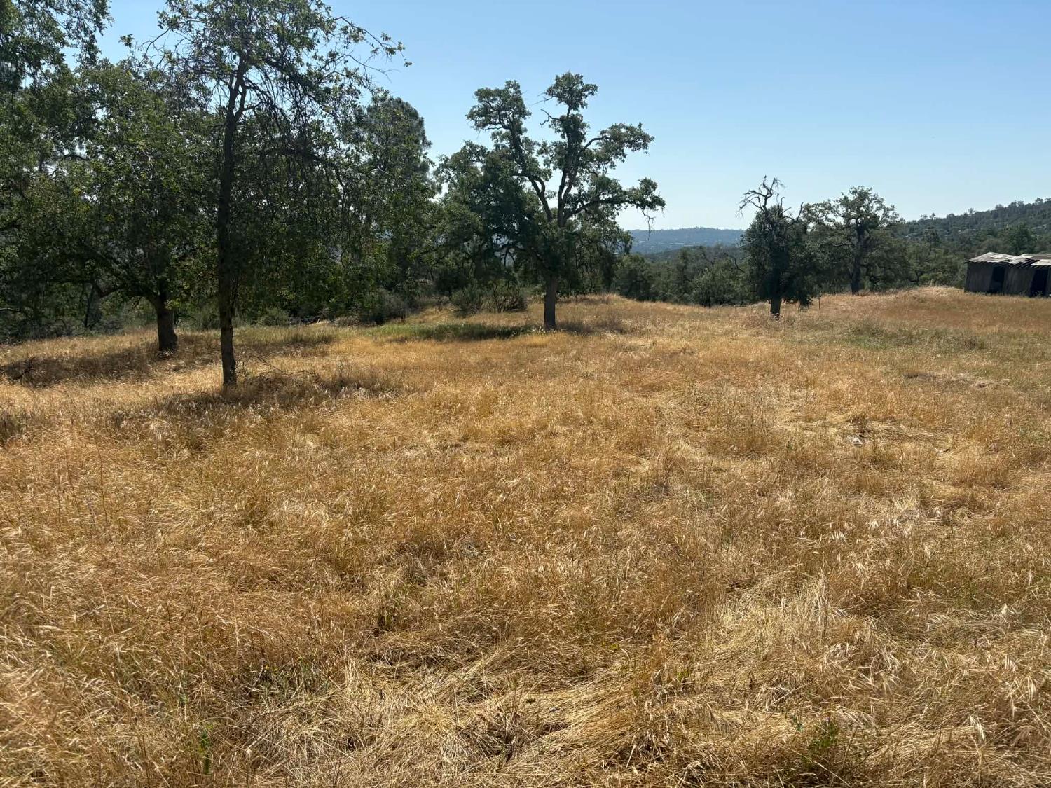 1379 Lot # Lilley Mountain Dr #1379, Coarsegold, CA 93614