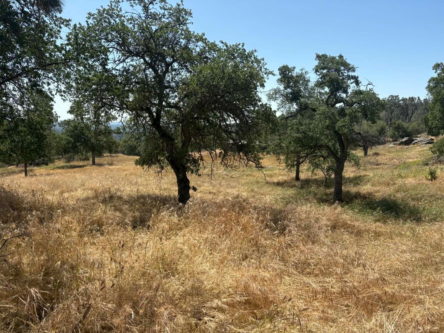 1379 Lot # Lilley Mountain Dr #1379, Coarsegold, CA 93614