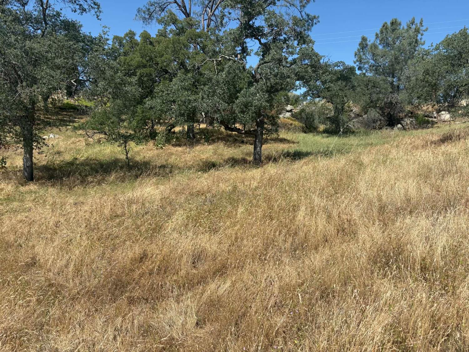 1379 Lot # Lilley Mountain Dr #1379, Coarsegold, CA 93614