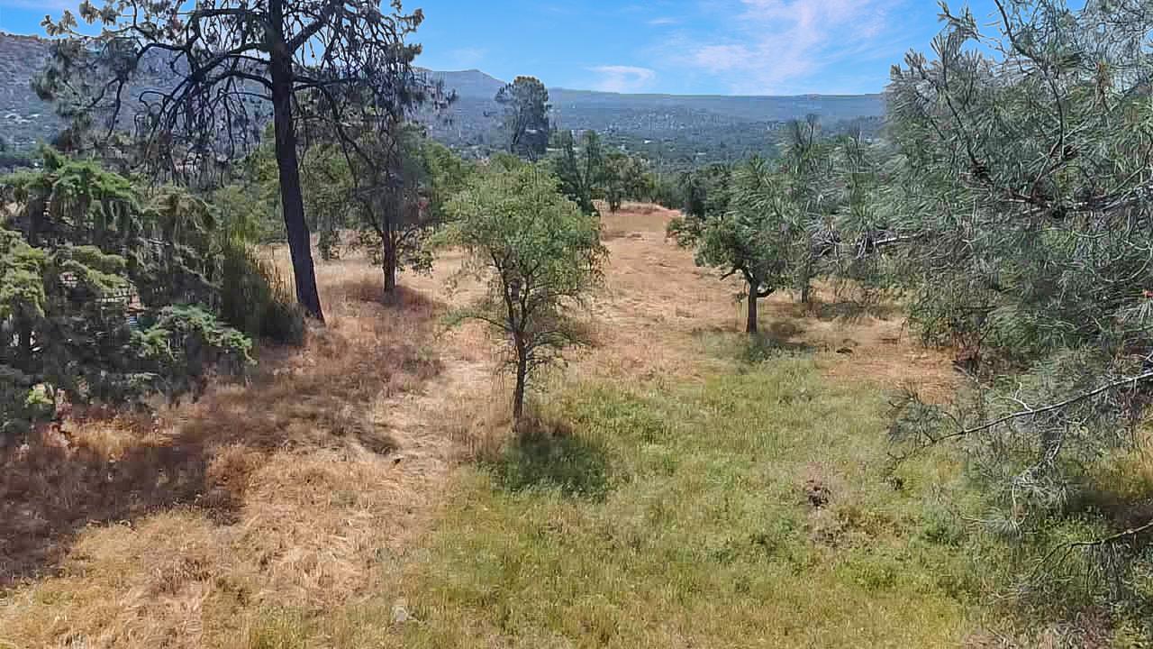 1379 Lot # Lilley Mountain Dr #1379, Coarsegold, CA 93614