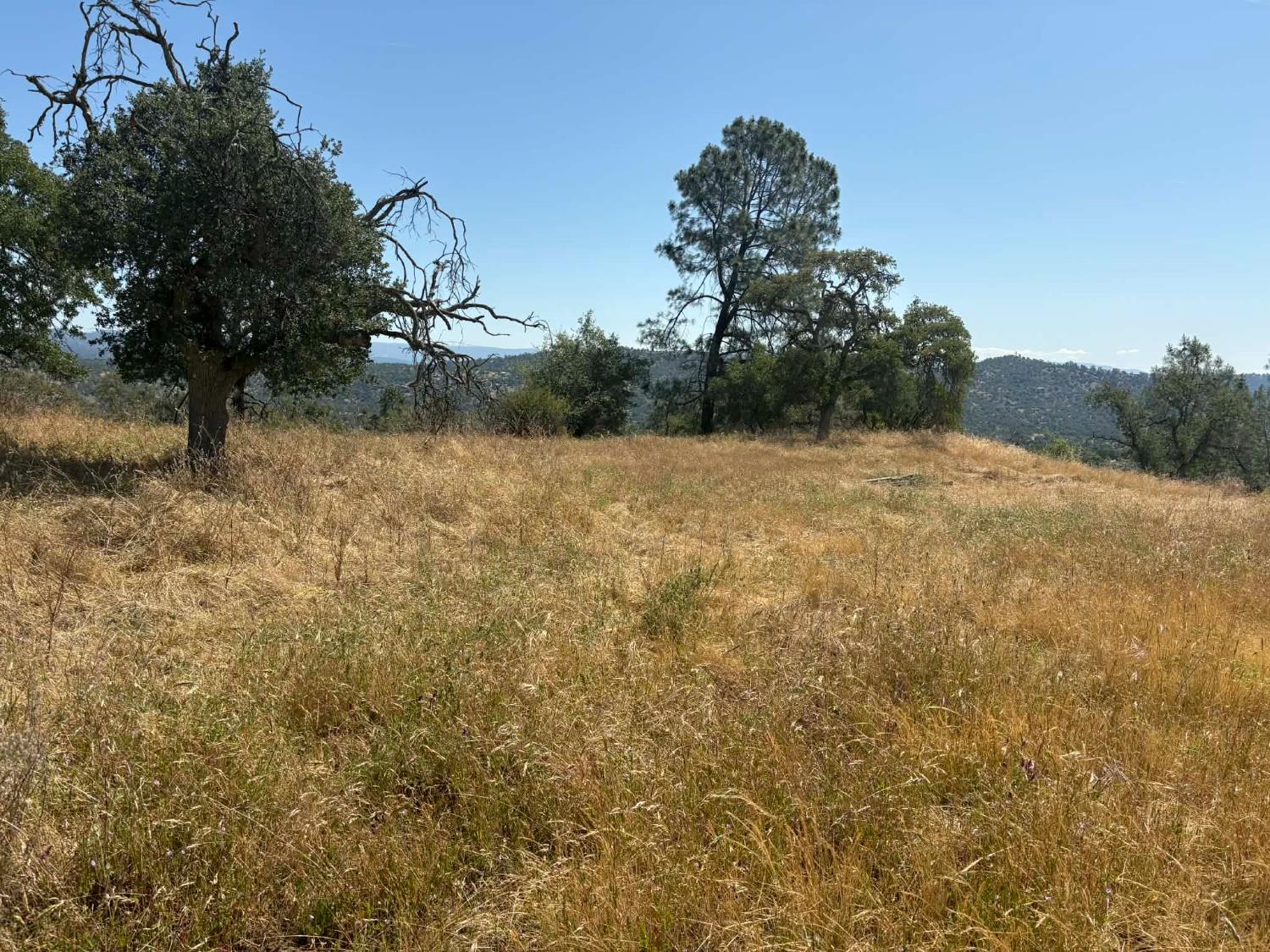 1379 Lot # Lilley Mountain Dr #1379, Coarsegold, CA 93614