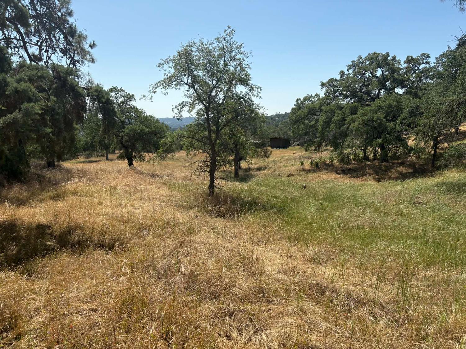 1379 Lot # Lilley Mountain Dr #1379, Coarsegold, CA 93614