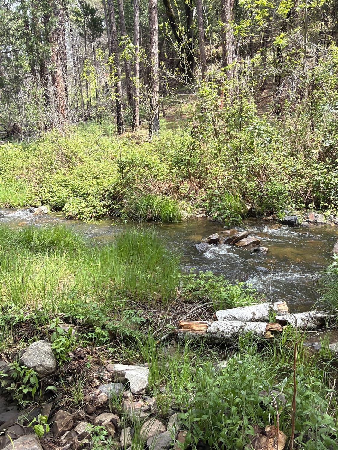 39 Anderson Valley Rd, Coulterville, CA 95311