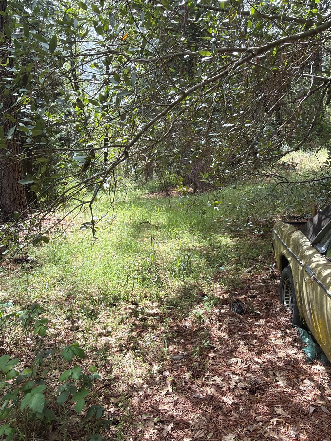 39 Anderson Valley Rd, Coulterville, CA 95311