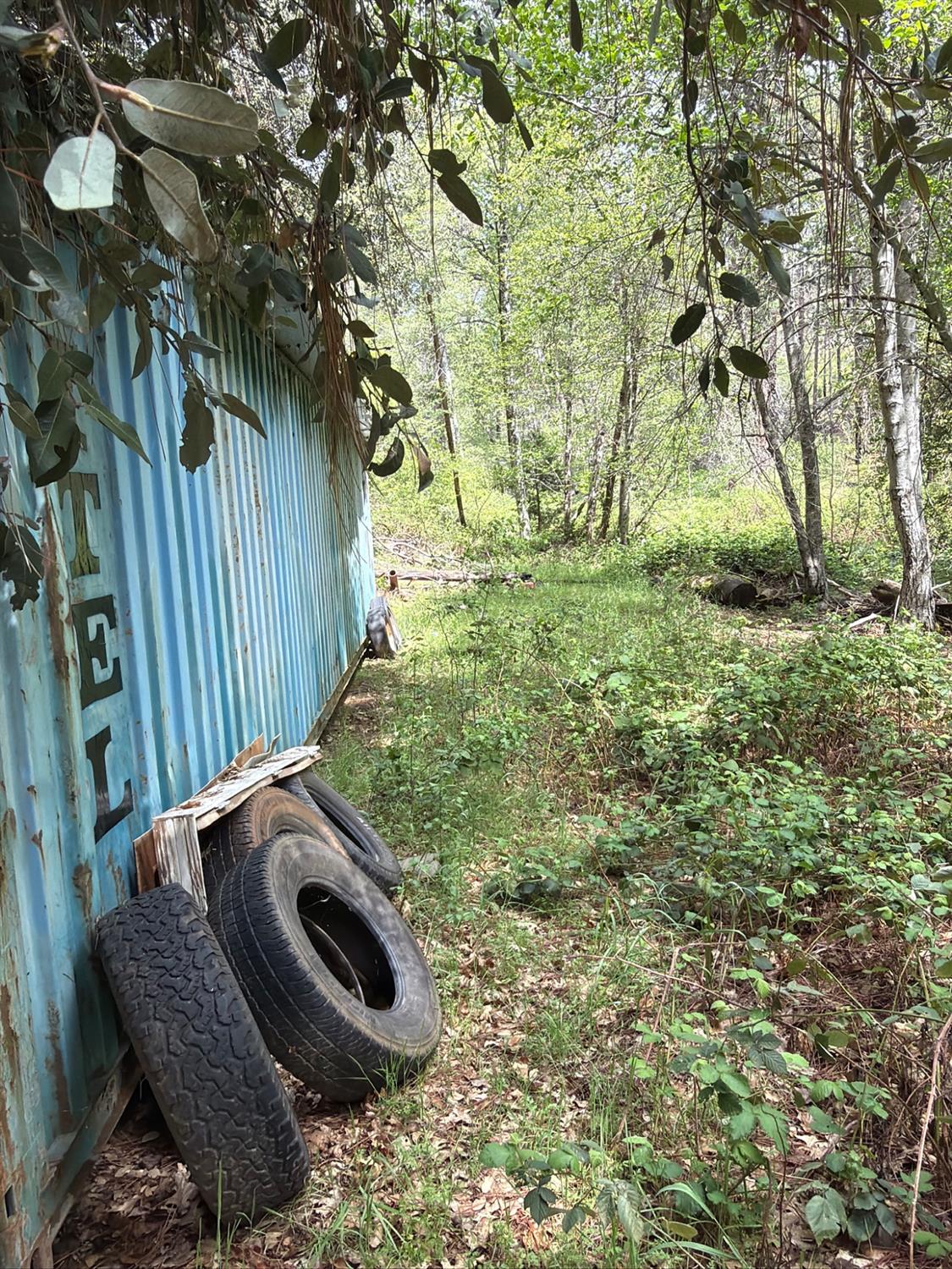 39 Anderson Valley Rd, Coulterville, CA 95311