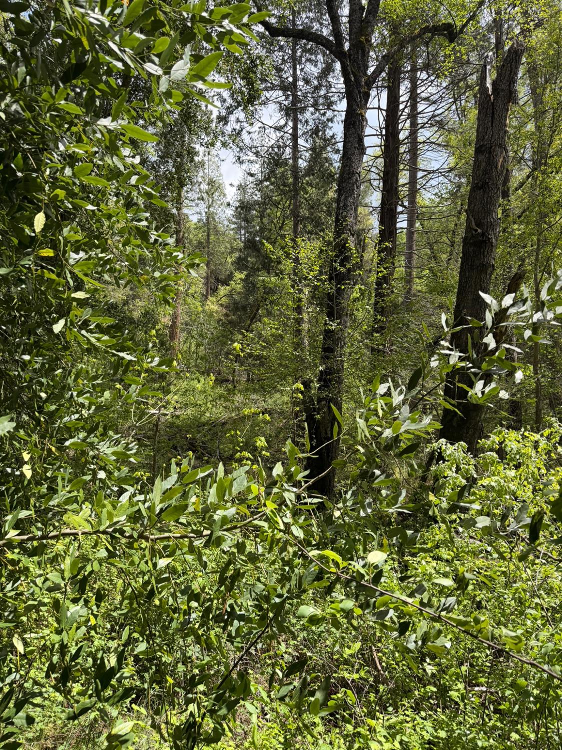 39 Anderson Valley Rd, Coulterville, CA 95311